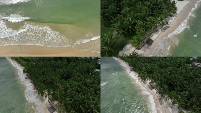 【4k】 三亚大海海边椰林航拍
