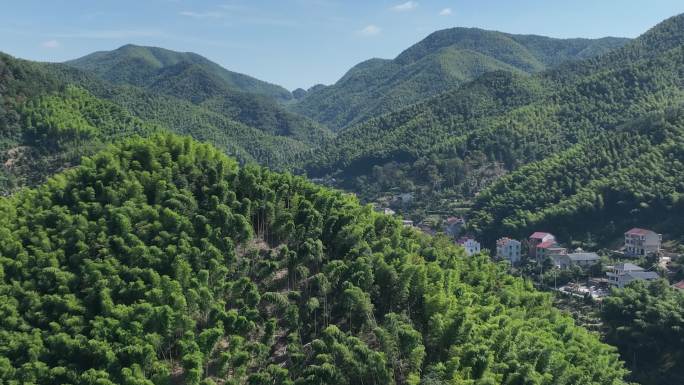 江南浙江山区竹林竹山竹海农村乡村航拍素材