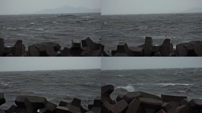 在风浪中穿行的海鸥海浪防浪堤坝波涛