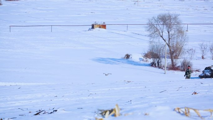 历史再现 白雪皑皑 古人骑马 蓝天白云