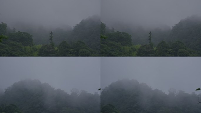 山间云雾缭绕近景