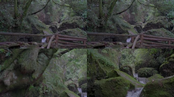 夏季山间清凉清泉流淌