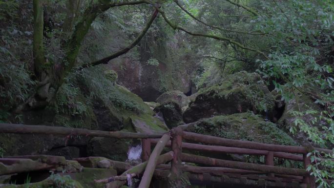 夏季山沟里水流流淌清凉环境