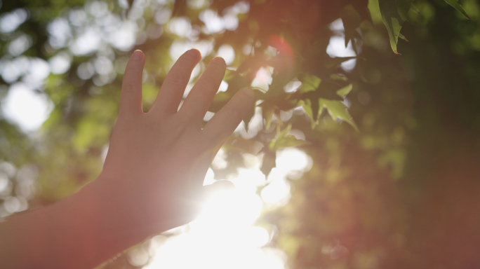 触摸阳光的手，手透过光线，校园，温暖幸福