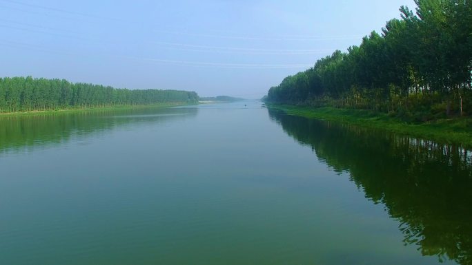 美丽风景 水 树