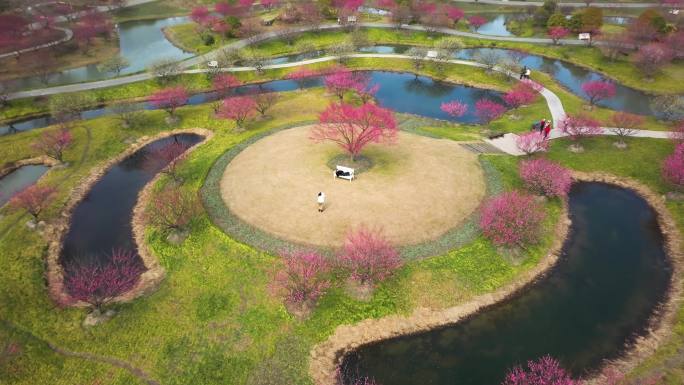 花开海上生态园