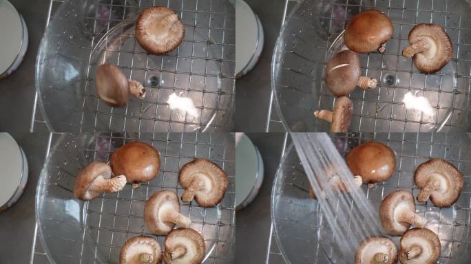 主妇清洗香菇切香菇