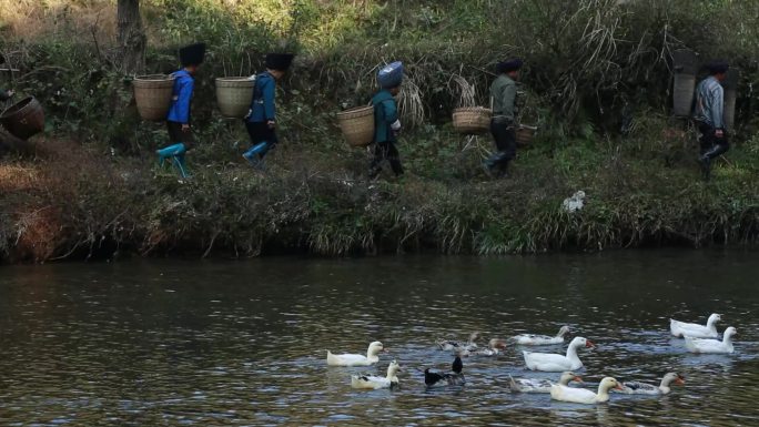 少数民族苗族