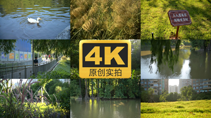 【4K原创实拍】广州城市公园场景