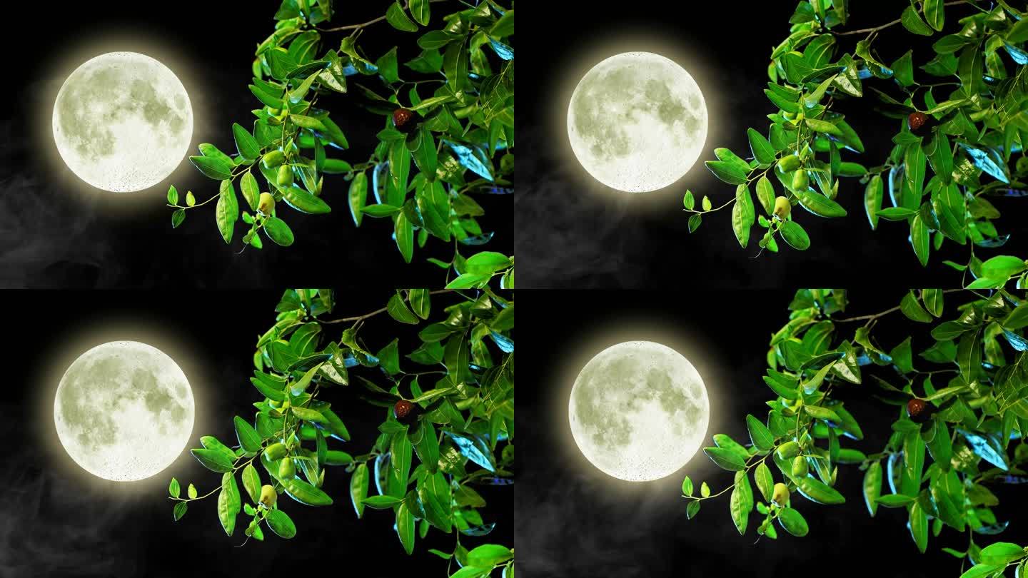 实拍月光（月亮下的枣树）