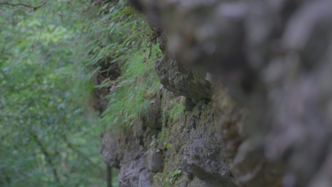 砾石砾岩山壁栈道