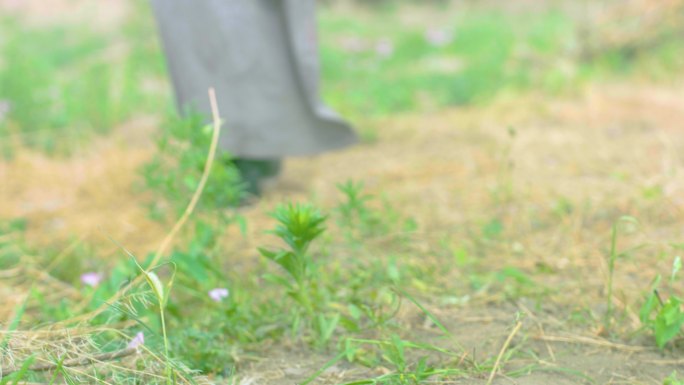 古代生活 情景再现 历史再现 纪录片