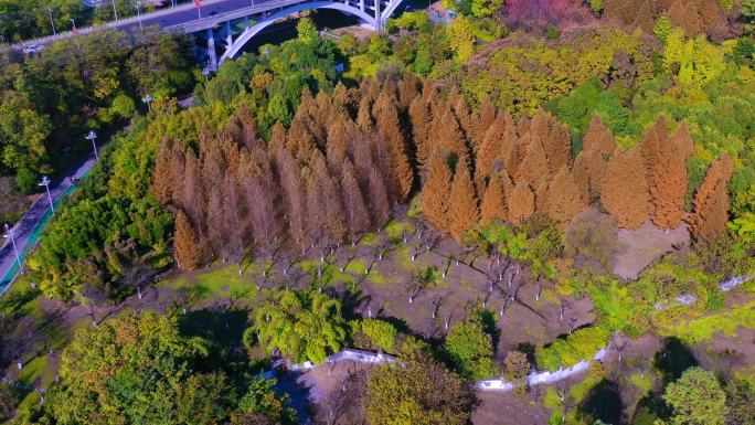 观山湖公园秋景