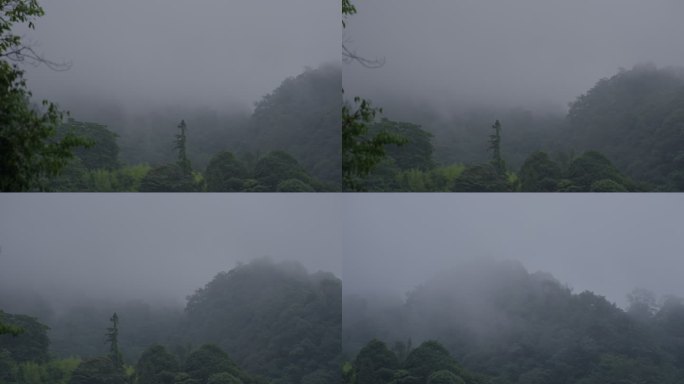 清晨山间云雾朦胧