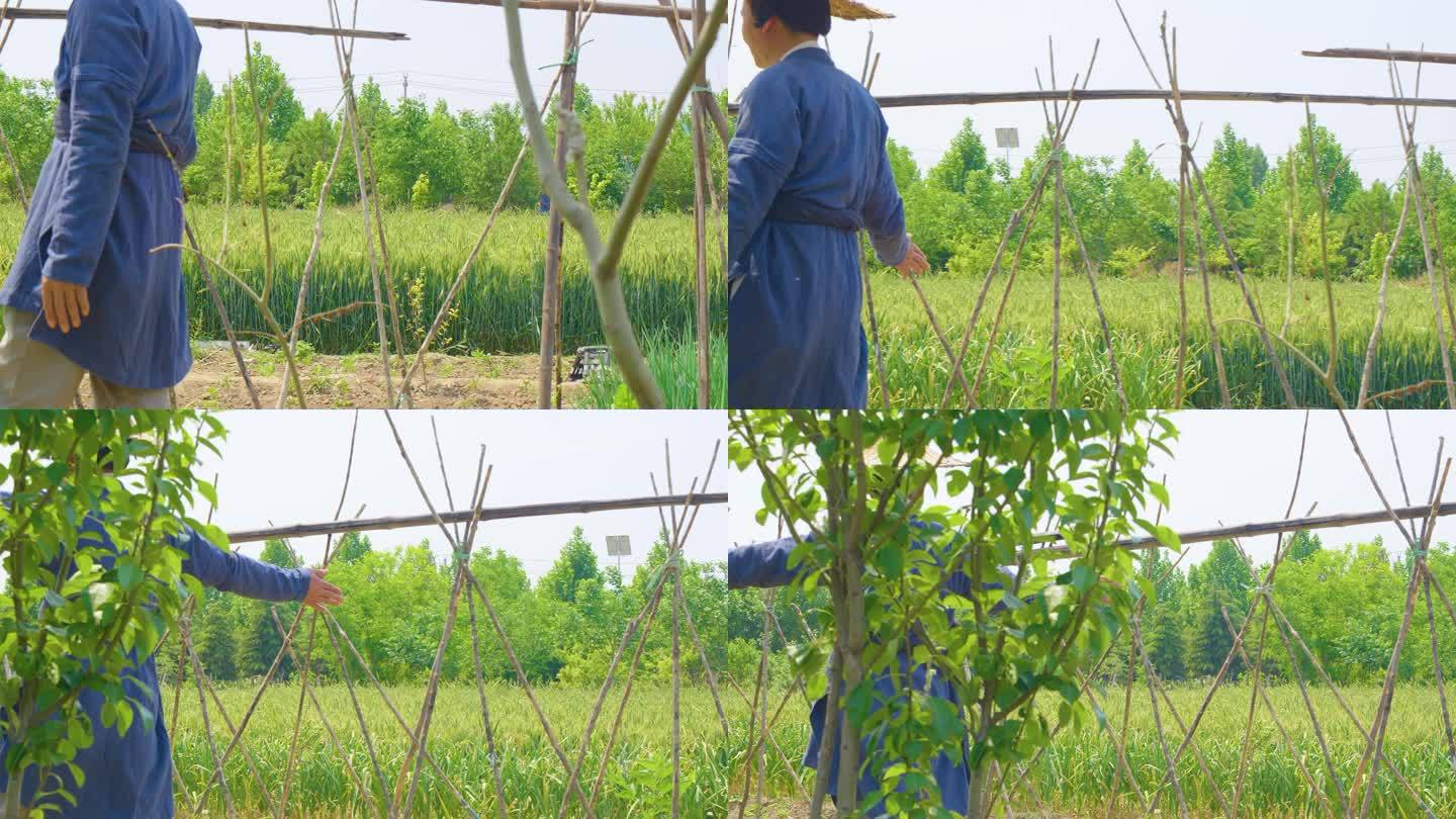 古代生活 情景再现 历史再现 纪录片