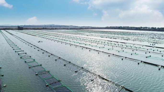 渔业养殖淡水海水鱼虾丰收网箱