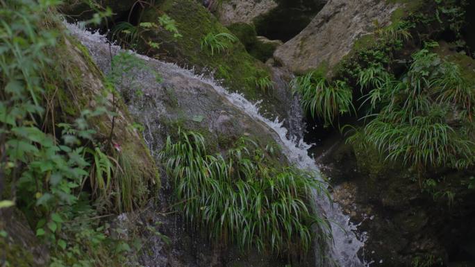 山间清泉溪流水流