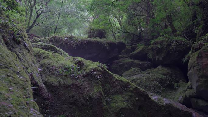 清幽山谷清泉山泉