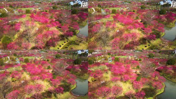 花开海上生态园