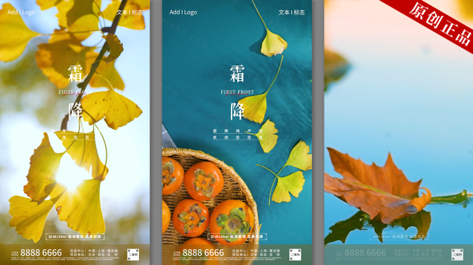 【原创拍摄可商用】霜降秋天节气 AE模板