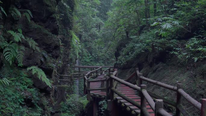 雨后景区山林里的小路栈道