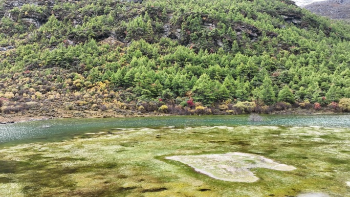 4K航拍稻城亚丁 秋天高山草地