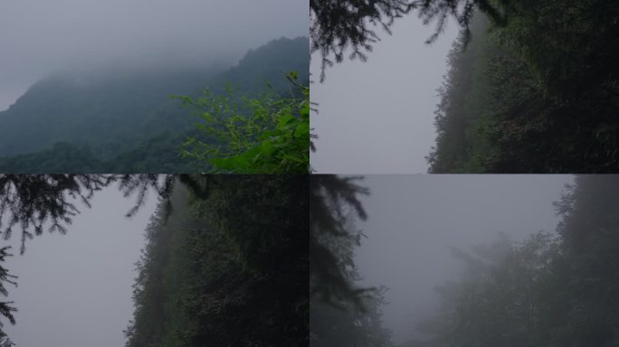 山里起雾