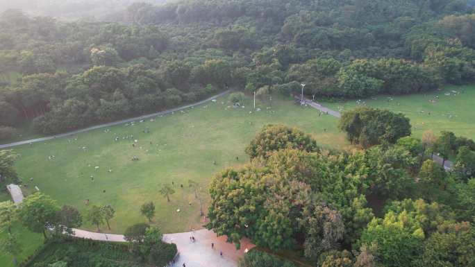 深圳莲花山公园航拍