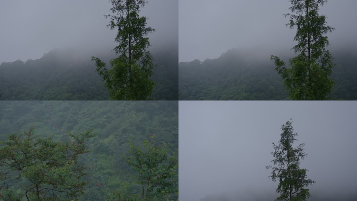 清晨山间云雾朦胧