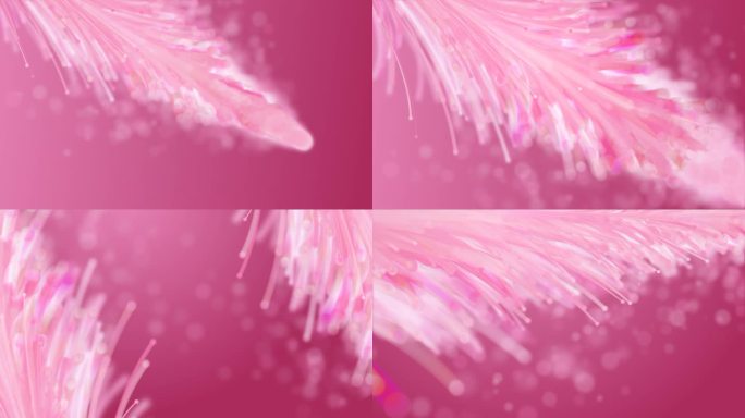 粉色唯美羽毛线条粒子生长背景