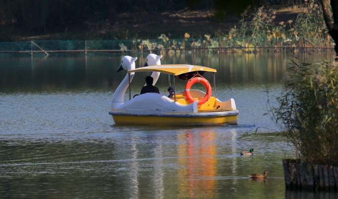 北京朝阳公园湖中划船游玩的人