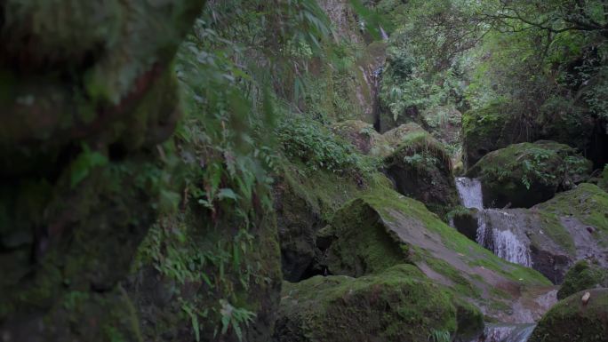 清幽山涧清泉缓缓流下