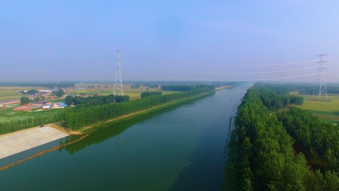 美丽风景 水 树