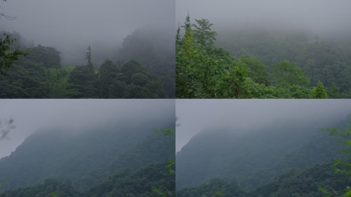 清晨大山深处山间云雾缭绕