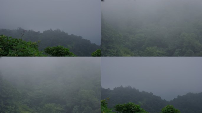 清晨大山深处山间云雾缭绕