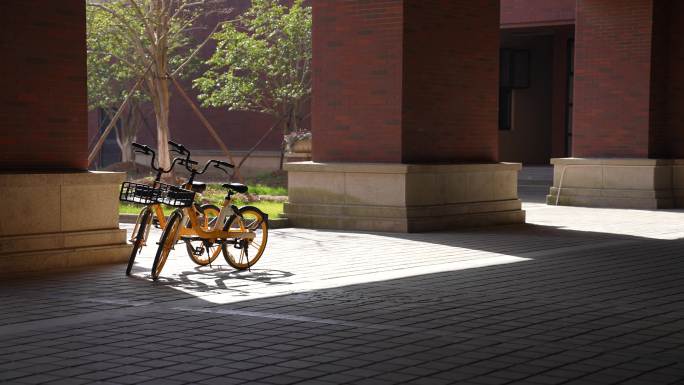 共享单车在校园