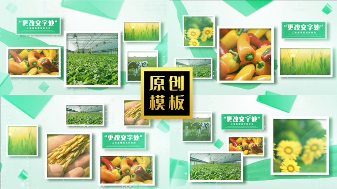 119图绿色生态农产品多图展示多照片包装