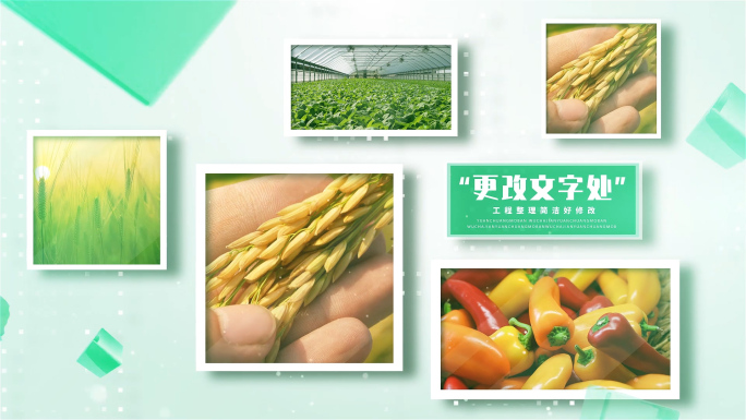 119图绿色生态农产品多图展示多照片包装
