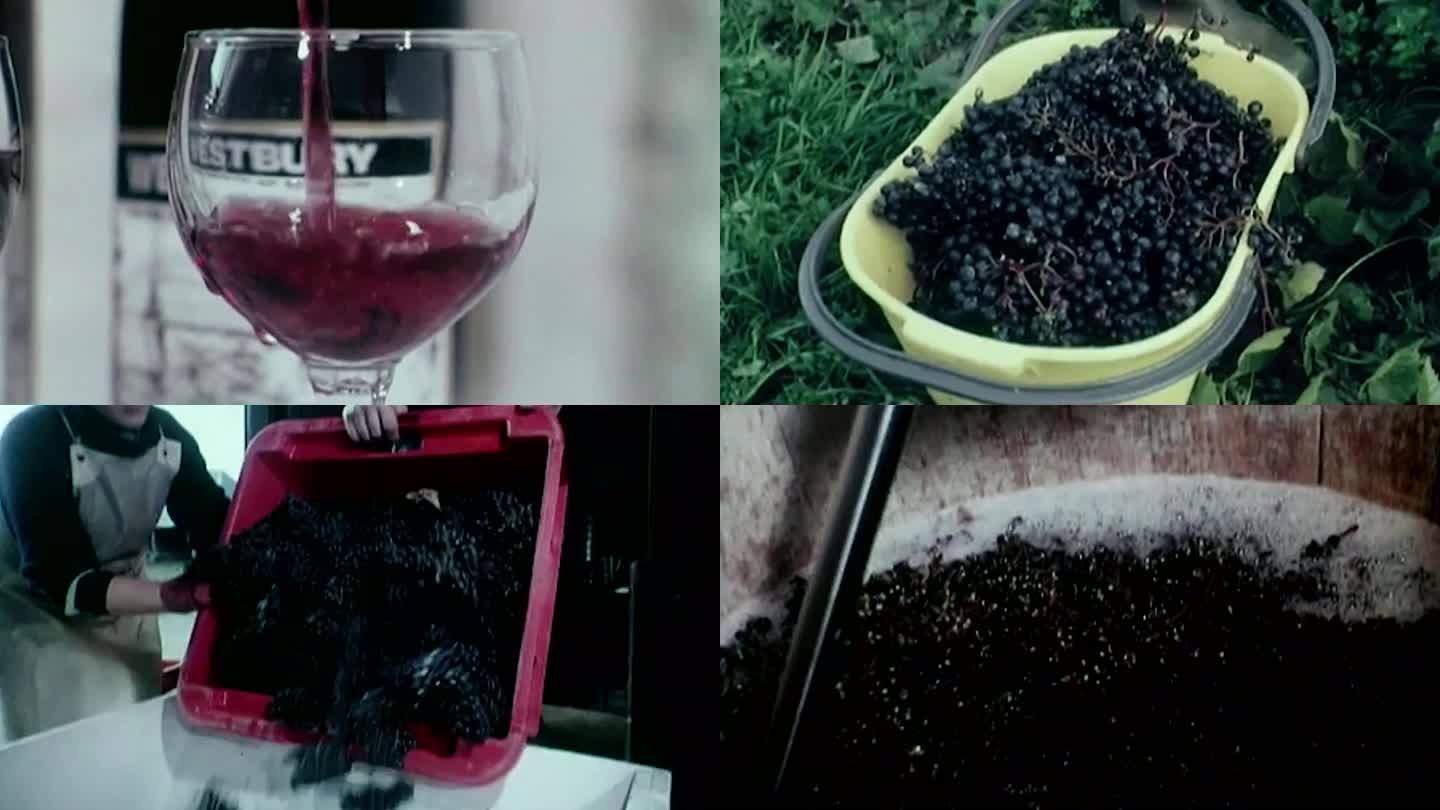 70年代红酒葡萄酒葡萄园