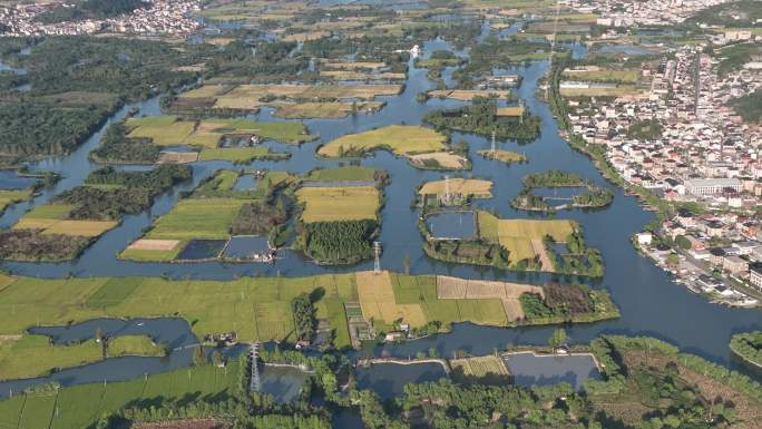 航拍江南浙江绍兴诸暨白塔湖秋天田野新农村