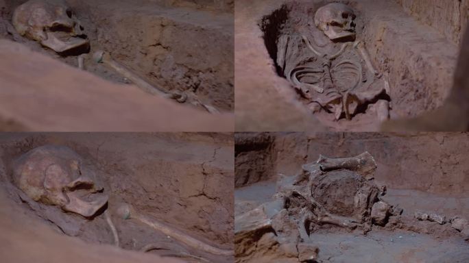 考古墓葬挖掘历史资料