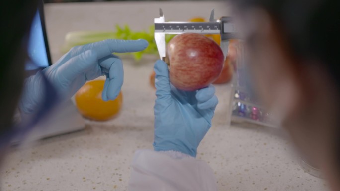 实验室教授做实验水果苹果蔬菜质检人员农业