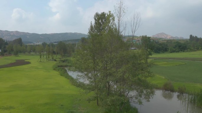 湿地风景平地升起绿野