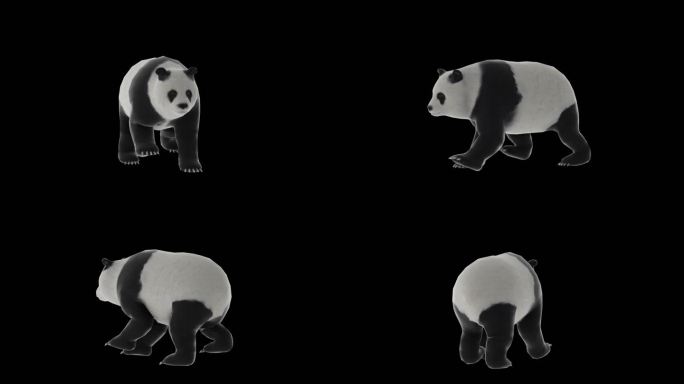 熊猫走路动画透明通道素材