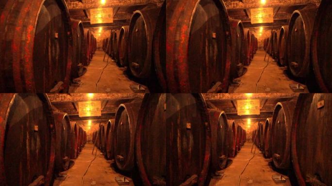 木桶里充满葡萄酒的亚洲第一窖