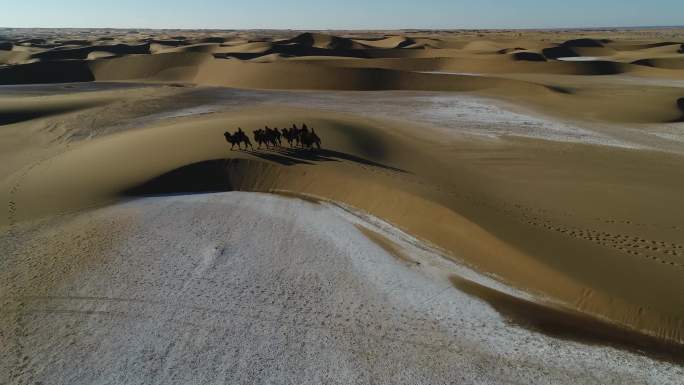 沙漠骑行 骑骆驼 乘骆驼 沙漠旅游