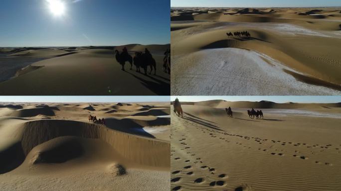 沙漠骑行 骑骆驼 乘骆驼 沙漠旅游