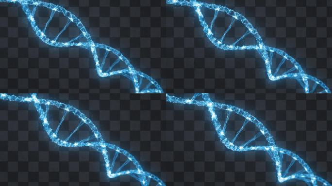 科技DNA螺旋结构
