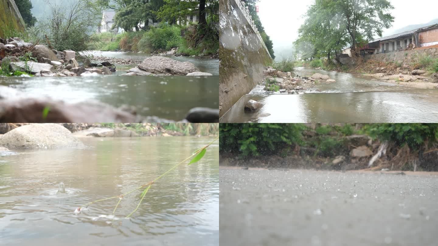 下雨 河流 鸭子 小溪