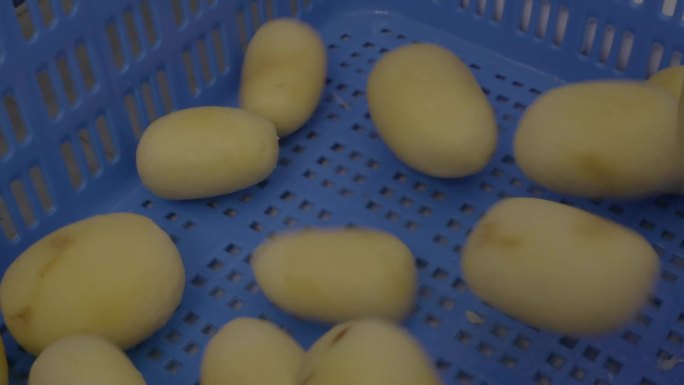 自动化蔬菜加工设备马铃薯土豆清洗削皮薯条
